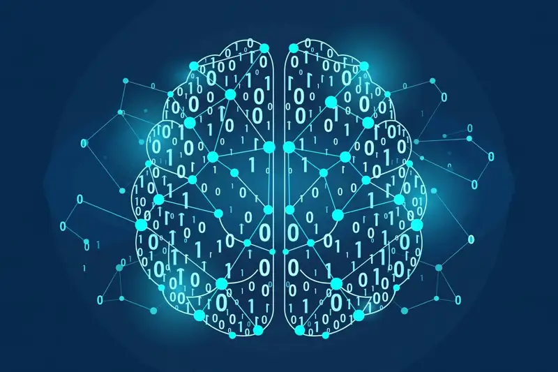 A brain made of numbers and network connections